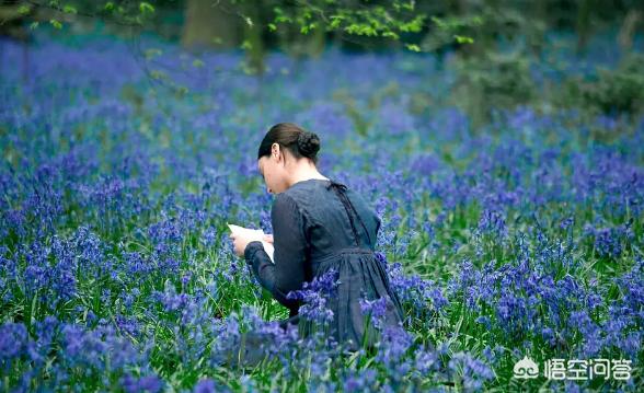 本威士肖:有哪些知名度不高却很好看的影视作品