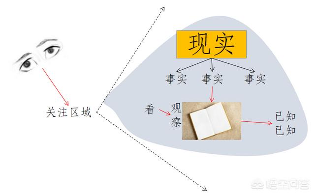 如何提高智商和思维能力,如何提高自己的思维能力？