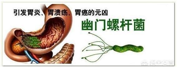 这三种食物能养胃抑菌,幽门螺旋杆菌最怕啦,胃炎奇迹般好了！是指哪3种食物？