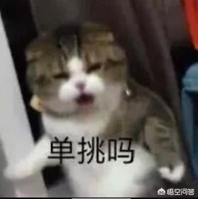 有没有那种沙雕又可爱的微信昵称