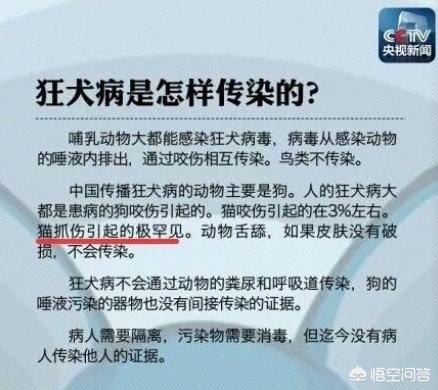被猫咬了要打狂犬疫苗吗,被猫抓了，需要打狂犬疫苗吗？