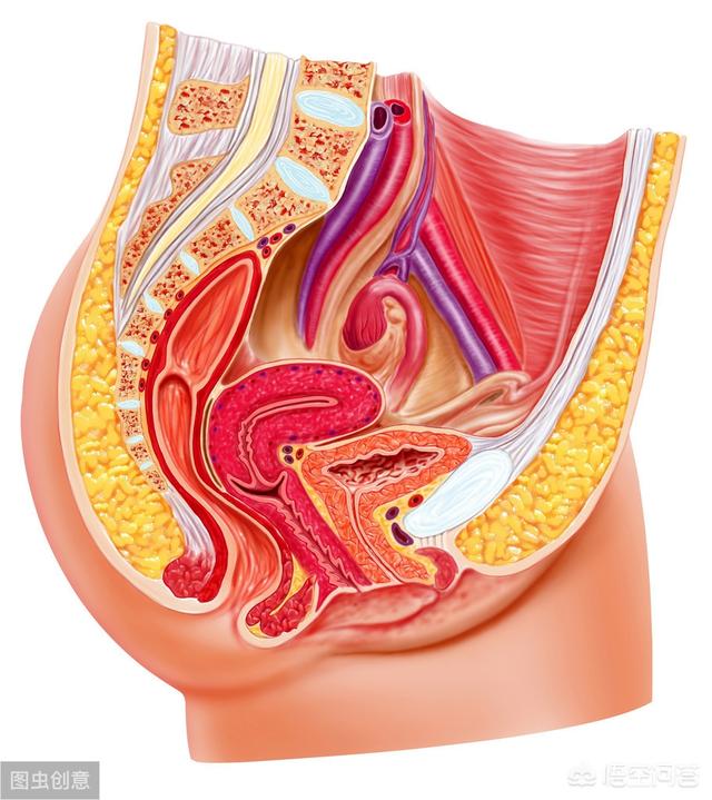 女人转运时的征兆,哪些信号表明女生允许你“追”她？