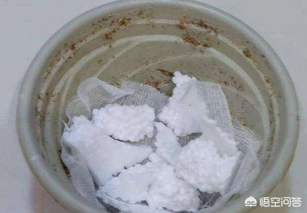 花土里加火山石:花盆有点深底下垫什么好呢？