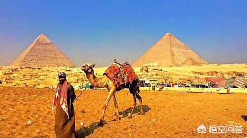 金字塔之谜被揭开，为什么有说法说进入埃及金字塔的考古学家没有一个活着