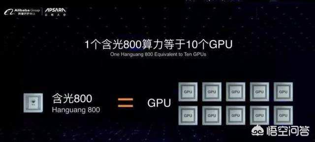 罗斯蔓 800:阿里第一颗自研芯片:含光800,到底多先进？ 罗斯蔓尼詹森月季
