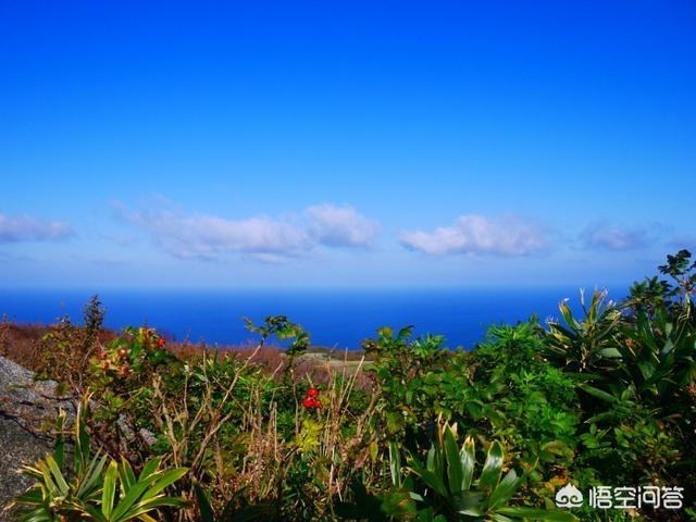 奥比岛找7色花:有北海道奥尻岛旅行攻略吗？