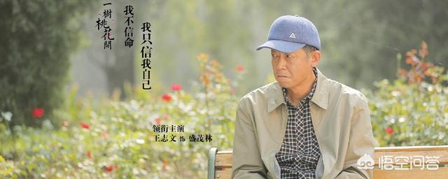 一树桃花开,如何评价《一树桃花开》？