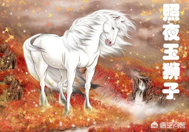 金毛犬段景住的故事:梁山倒数第一的好汉段景住，业务能力差，为何能排上榜？