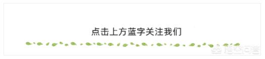 微信公众号排版风格怎么定
