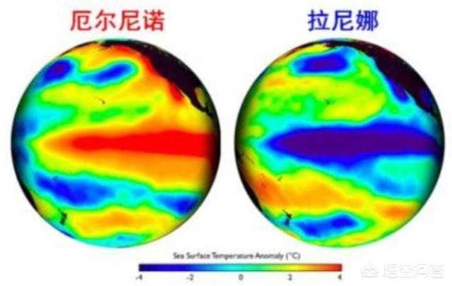 世界候鸟日2020:2020年会出现拉尼娜现象吗？会不会像2008年一样严寒？ 世界候鸟日主题