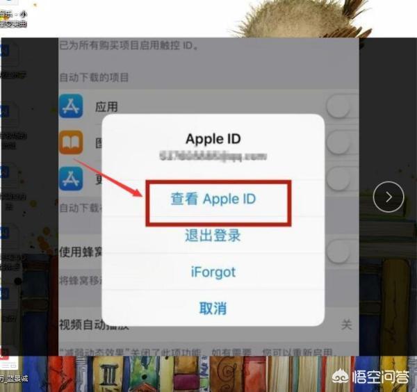 如何使用苹果手机（iOS）连接（绑定）微信支付？