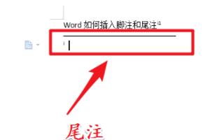 Word中插入脚注和尾注的技巧？