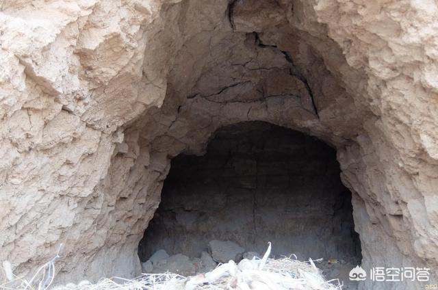 千年不传的风水秘术,盗墓为什么总是舅舅带着外甥？