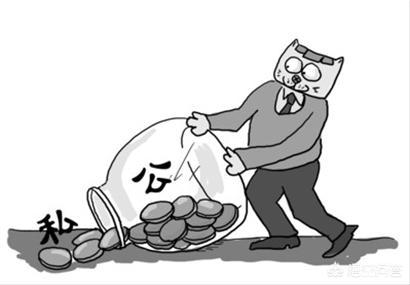 公司转账给私人账户金额较大，私人账户要交税吗？为什么？插图13