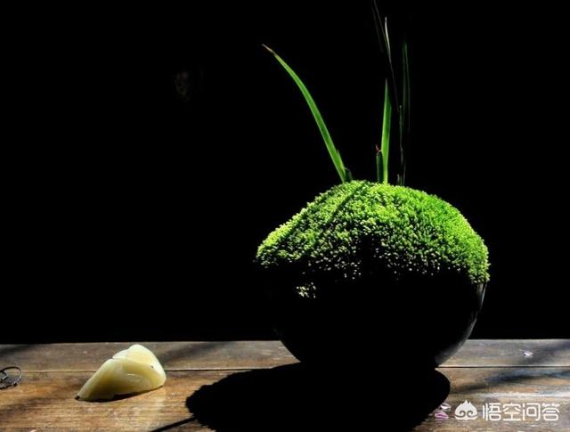 有关于夏天的古诗词吗？