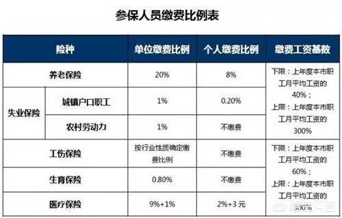 一般说的社保是指什么，社保与五险一金有什么区别