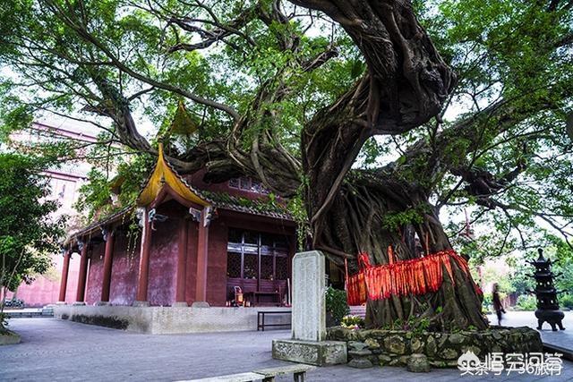 广州周边哪里好玩，广州周边好玩的旅游景点推荐