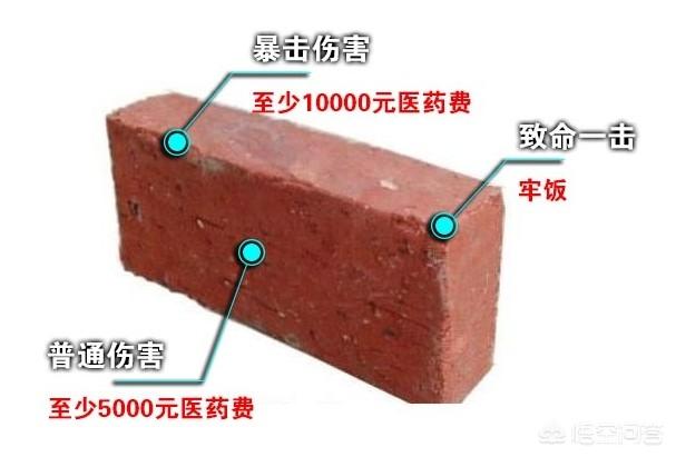 平阳维新淡水鱼养殖场:历史上哪些战争的发动，属于是搬起了石头，砸了自己的脚？