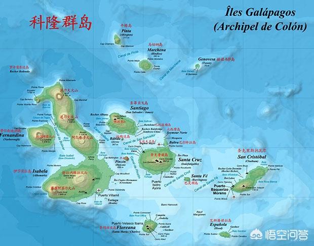 加拉巴哥群岛阅读:加拉帕戈斯群岛地处赤道地区却终年寒冷，为什么？