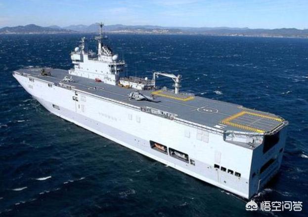 史德拉海牛的生存现状:俄罗斯为什么不找中国修航母？ 史德拉海牛图片