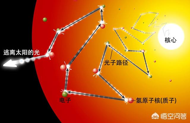 光能净百科:绿植真的可以彻底去除甲醛吗？