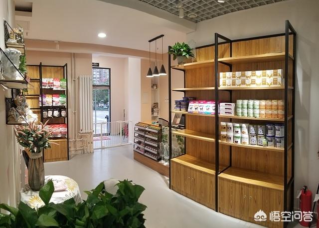 狗狗在线代理的合同范本大全:宠物店加盟合同要怎么写？