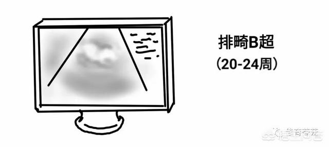 石家庄男子活剖孕狗拍视频:在石家庄市消费环境下，夫妻两人年收入十万生活得怎样？