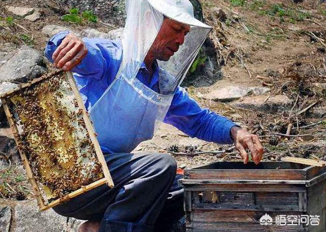 贵州红色吸蜜鹦鹉:春节想自驾去南方旅游，云南，贵州，广西三省哪个更适合？