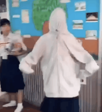 狗狗视频大全搞笑:有哪些有意思的狗子小视频？