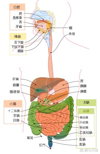 娜样孕育