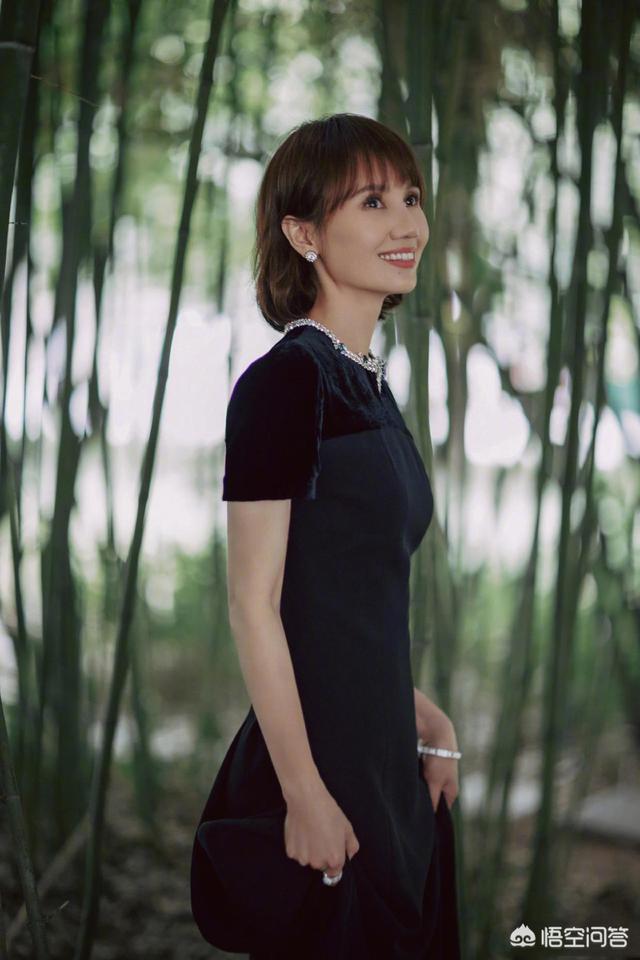 袁泉的老公:大家觉得袁泉这个演员怎么样？