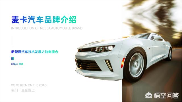 多彩鹦鹉设计素材:宝蓝迷你鹦鹉背景纸选什么颜色好？
