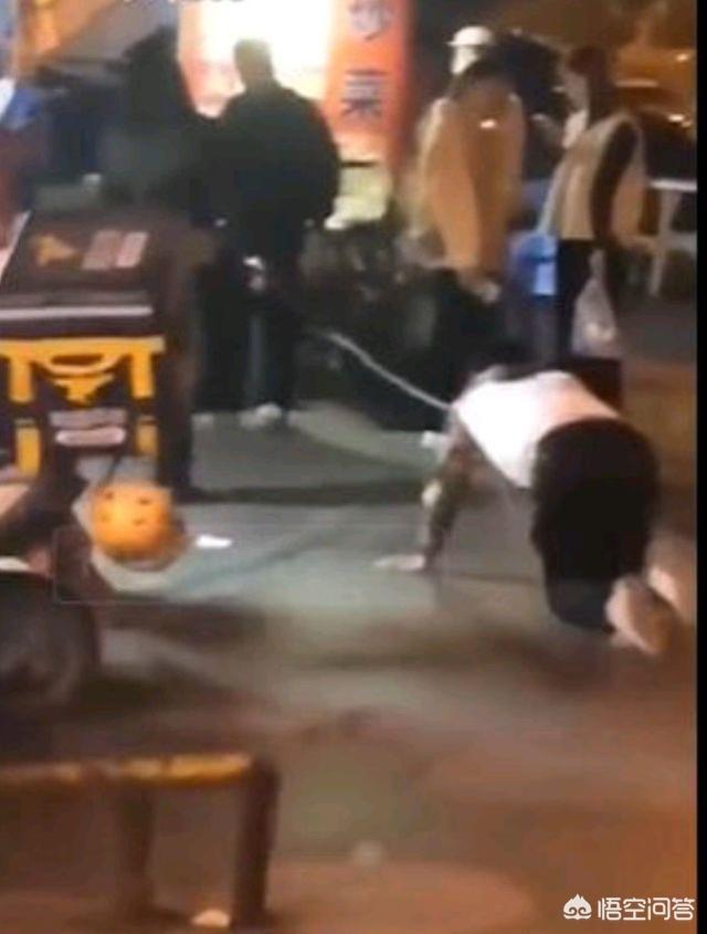 带宠物鸭扫大街萌坏路人:如何看待重庆万州“男子当街被一女子牵着当狗溜”？