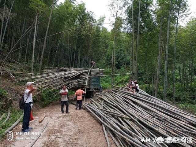 钦州就业创业服务网，朋友叫去广西包山砍树，有前途吗