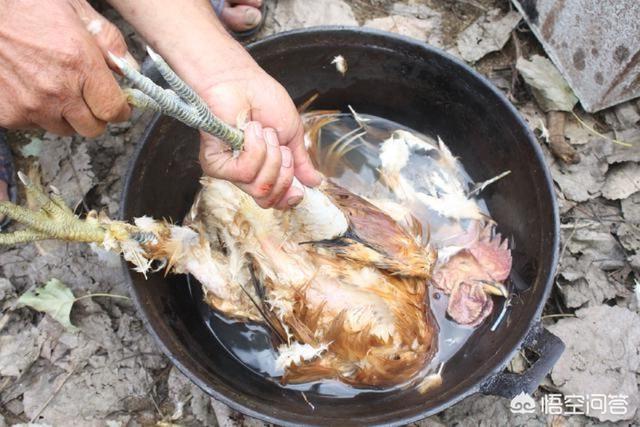 盐焗鸡怎么做(盐焗鸡怎么加热)