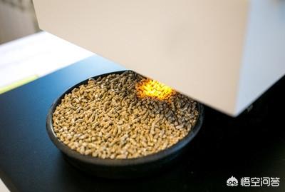长毛鱼:水塘里养鱼为什么身上长毛？