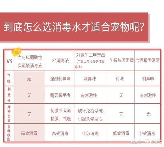 茶杯贵宾狗泪痕很多怎么办:白色贵宾犬泪痕眼角黄，怎么办？