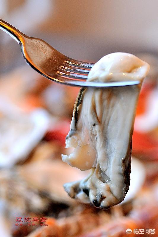吃生蚝有什么讲究吗，海蛎子和生蚝一样吗如果不一样，两者有何区别呢