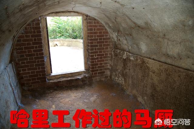 丧尸之一段真实的历史:历史上有哪些让人难以置信的事情，但是，事实上他确实是发生了的