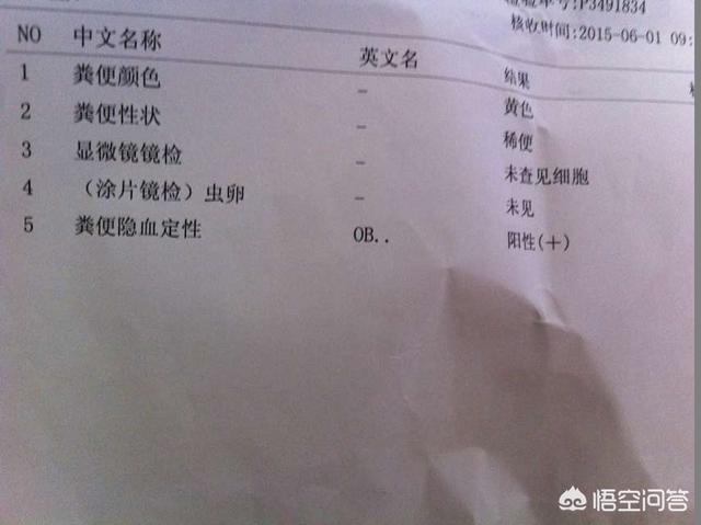 预防肠道疾病教学设计:怎么预防肠道疾病 看新闻又一个年轻人因肠癌离世，肠癌怎么这么可怕，可以预防吗？