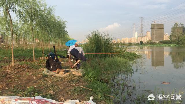 锦鲤的饲养法则卿小双:锦鲤的饲养法则小说 钓鱼本是个很闲的个人运动，为什么现在很多地方禁止钓鱼了呢？