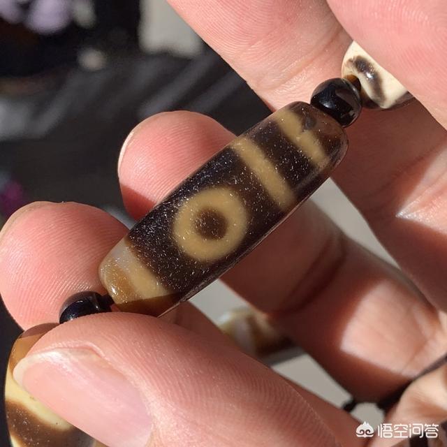 庆阳个人藏獒出售:在农村养殖，养什么才能收获最大利？