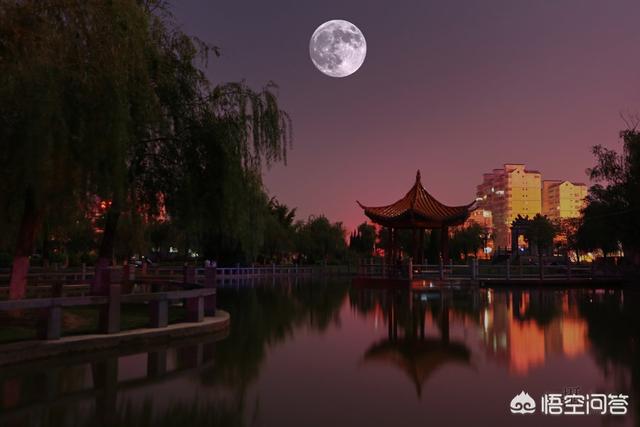 月球上嫦娥的死尸:嫦娥四号在月面种的菜死了为什么熬不过月夜不能保温吗