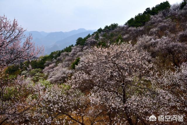 北极沙蟹扑克行:高考后去哪里旅行比较好？