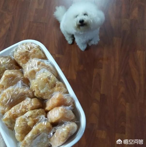 比熊犬吃什么,比熊母狗吃什么狗粮去泪痕？