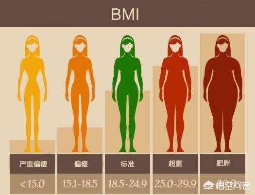 头条问答 女生体脂率22 5 23 5之间 Bmi19 4 想要腹肌明显 应该先增肌还是减脂 5个回答