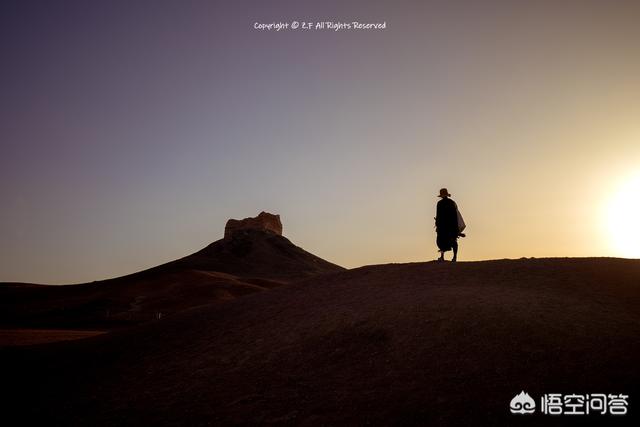 四款定焦镜头/ 35、50、85、135mm分别适合拍什么？插图33