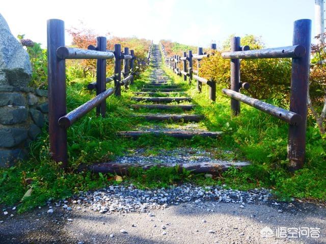 奥比岛找7色花:有北海道奥尻岛旅行攻略吗？
