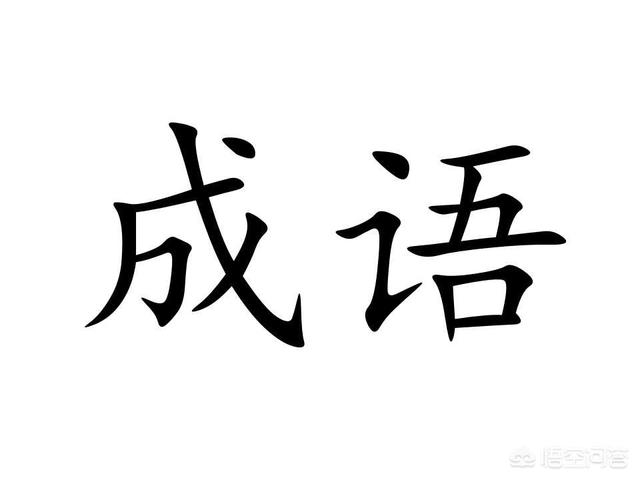 历史上从来没有过的四字成语？