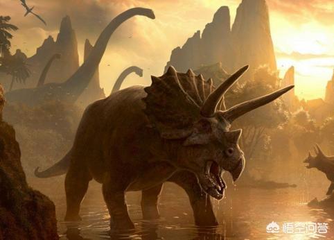 探索一些关于恐龙的秘密，探索恐龙时代陨石撞击之地，一颗陨石真的能使恐龙灭绝吗